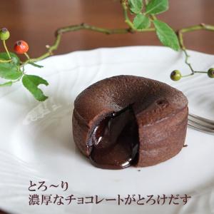 ケーキ フォンダンショコラ 100g×2個 ｘ２袋 送料無料チョコケーキ チョコレートケーキ フランス産 冷凍