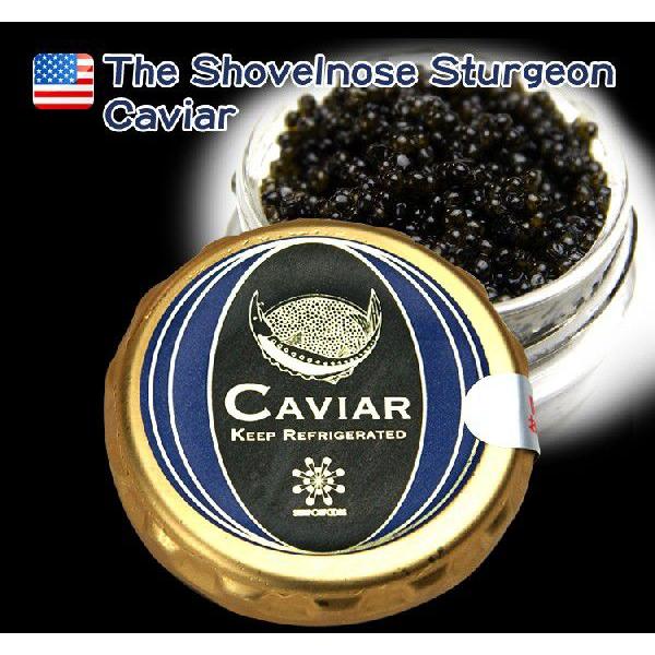 キャビア 天然キャビア アメリカ産 ハックルバック 20g 瓶入り パスチュライズ caviar 冷...