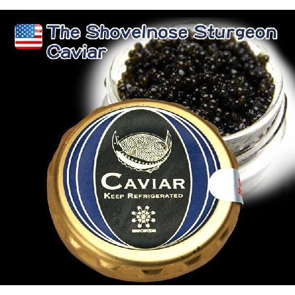 キャビア 天然キャビア アメリカ産 ハックルバック 50g 瓶入り パスチュライズ caviar 冷...
