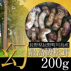 松茸 200g（S〜L混合　2〜5本）最高級・幻の松茸 マツタケ まつたけ 産地直送 国産 高級料亭御用達 10月下旬までの期間限定販売｜otokonodaidokoro