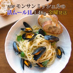 ムール貝 活ムール貝 モンサンミッシェル産 1.4Kg AOP フランス産