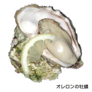 牡蠣 オレロン島の活牡蠣 加熱用 2個 殻付き牡蠣 フランス産 オイスター 冷蔵｜otokonodaidokoro