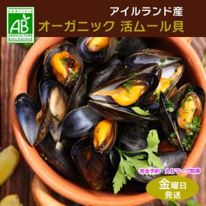 ムール貝 活ムール貝 オーガニック 1.4Kg アイルランド...