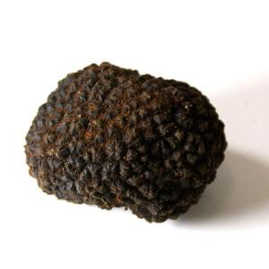 トリュフ フレッシュ 秋トリュフ 約100g 不定貫 gあたり298円