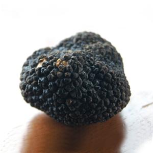 トリュフ フレッシュ サマートリュフ 約100g 夏トリュフ