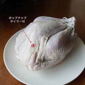 ターキー 8〜10人用 七面鳥 小型 約3.6...の詳細画像5