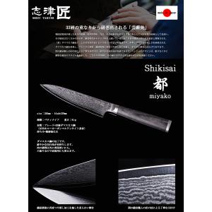 関の刃物 志津刃物 33層ダマスカス ペティナ...の詳細画像1
