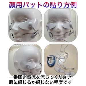 EMSセット 本体1コード1パッド12(ボディ...の詳細画像5