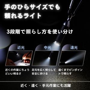 超軽量15g・40ルーメンLEDライト|カラビ...の詳細画像2