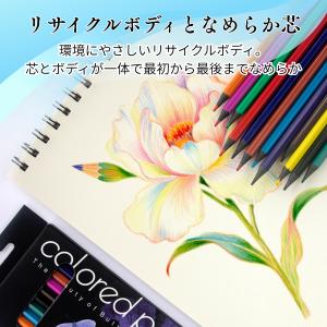 高発色油性色鉛筆12色セット 六角軸2.6mm...の詳細画像2