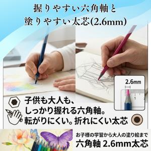 高発色油性色鉛筆12色セット 六角軸2.6mm...の詳細画像4