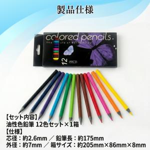 高発色油性色鉛筆12色セット 六角軸2.6mm...の詳細画像5