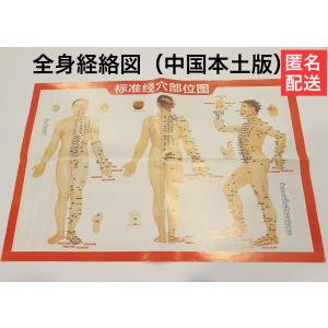 ▽未使用 東洋羽毛 電位 温熱 組合せ 家庭用 医療機器 Sawakoko/さわ