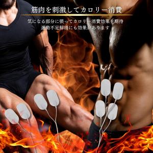 ポケスリムαEMS 本体+パッド4枚!エステ感...の詳細画像2