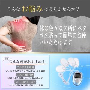 ポケスリムαEMS 本体+パッド4枚!エステ感...の詳細画像1