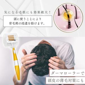 3本セット 日本メーカー製ダーマローラー【4種...の詳細画像5