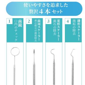 滑り止めが付いて使いやすい!歯石取り 歯石とり...の詳細画像2