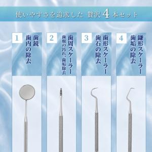 滑り止めが付いて使いやすい 歯石取り 歯石とり...の詳細画像5