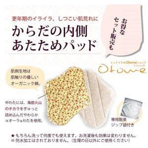 ギフト 温活 妊活 あたため 腹巻 オーラ 子...の詳細画像4