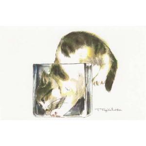 藤重日生　猫絵カード　「ぼく隠れたよ」　ポストカードサイズ　　fuji120008｜otomebiyori