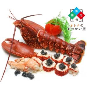 生冷凍オマール海老 ロブスター カナダ産 約500g オマールエビ