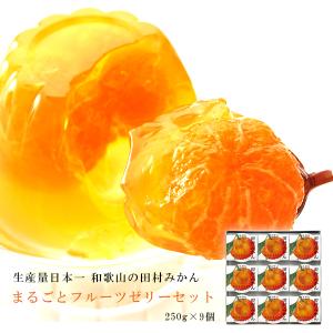 田村みかんまるごとゼリーセット計2.25kg 9人前 詰め合わせ お取り寄せ 和歌山 ご当地グルメ フルーツゼリー 5000円
