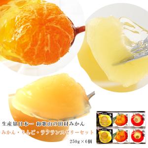 田村みかん りんご ラフランスゼリーセット計1.5kg 6人前 詰め合わせ お取り寄せ 和歌山 ゼリーギフト フルーツゼリー ご当地グルメ