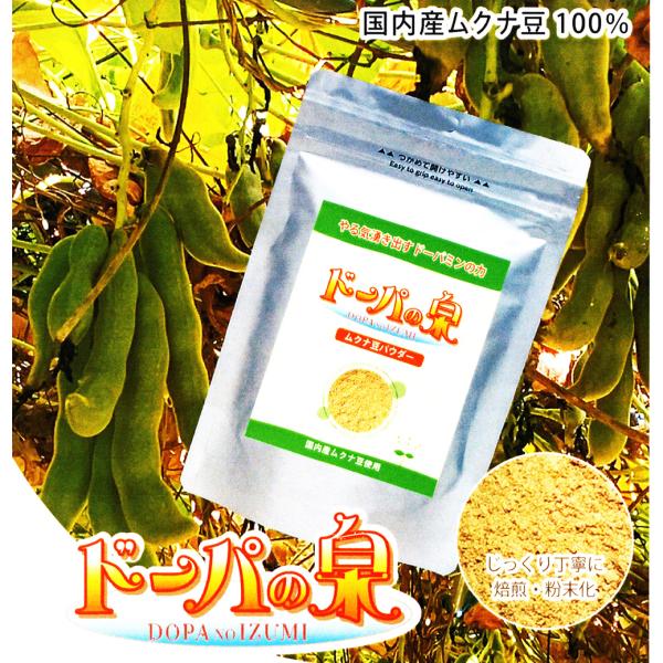 ムクナ豆パウダー