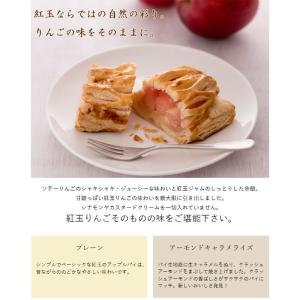 とれたて紅玉の アップルパイ 田村ファーム タ...の詳細画像2