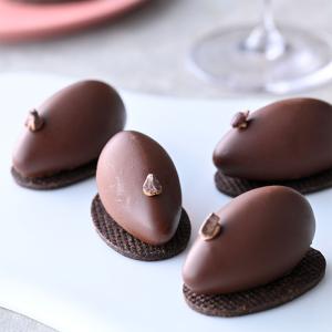 ラ・メゾン・デュ・ショコラ（LA MAISON DU CHOCOLAT） アマンダス