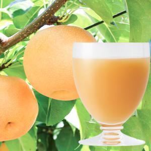 100%国産ストレート和梨ジュース 20缶セット 和梨ジュース 長野県産 梨ストレートジュース 果汁100% フルーツジュース お取り寄せ 飲料