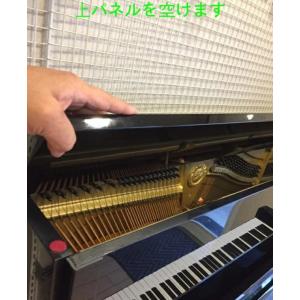 最高級ピアノ用乾燥剤 5個 (4個プラス1個お...の詳細画像5