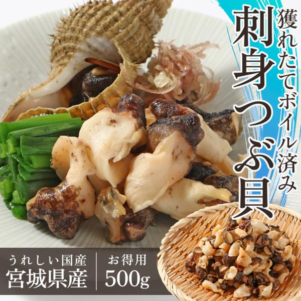 刺身つぶ貝 刺身 ボイル済み 宮城県産（500g×1袋）冷凍 ツブ貝 アヤボラ
