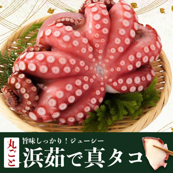 宮城県産 真タコ ボイル済み 丸ごと有頭 1杯（約1.3kg）冷凍便 浜茹で