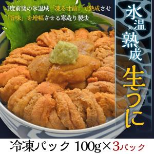 【条件付き送料無料】氷温熟成 冷凍ウニ (100g×3パック）冷凍 母の日 父の日 お中元 敬老の日 お歳暮 年末 お年賀 記念品 ギフト