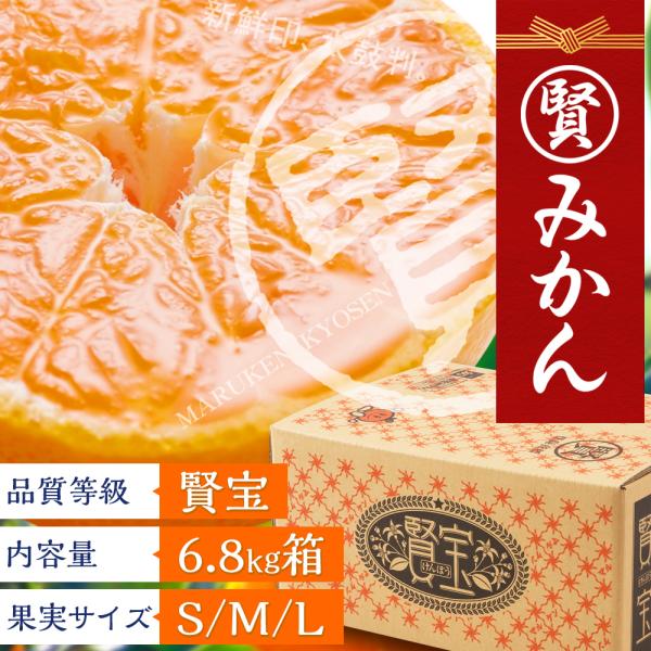 マルケンみかん 賢宝/特秀（6.8kg）S、M、L（サイズにより価格が異なります） 2セットまで同梱...