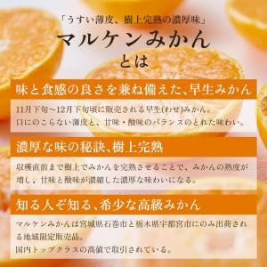 マルケンみかん 賢宝/特秀(6.8kg)S、M...の詳細画像1