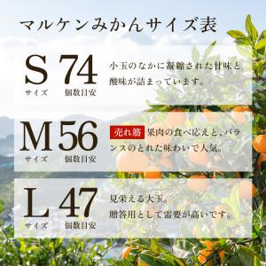 マルケンみかん 賢宝/特秀(6.8kg)S、M...の詳細画像4