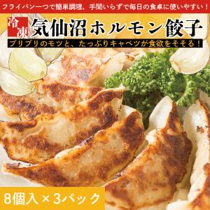 【条件付き送料無料】気仙沼ホルモン餃子（8個入り×3袋）冷凍｜otr-ishinomaki