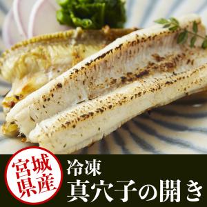 宮城県産 真穴子 開き（５００g）冷凍