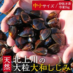【条件付き送料無料】北上川の天然大和しじみ（中小サイズ/1kg） 冷凍