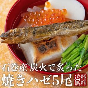 送料無料 漁師直送 北上川の焼きハゼ 5尾 ポスト投函お届け ネコポス 163d01p001 石巻元気商店 通販 Yahoo ショッピング