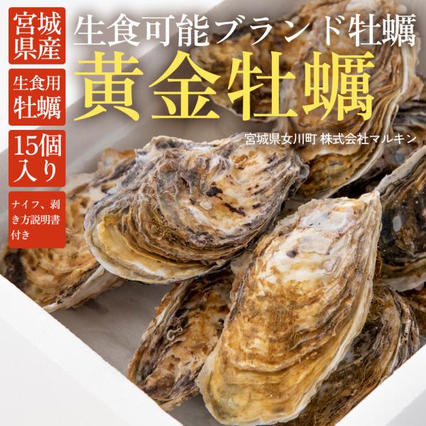 宮城県産 殻付き牡蠣（15個/生食可能）冷蔵 生カキ ブランド牡蠣「黄金牡蠣」 ナイフ、剥き方説明書...