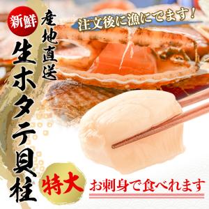 宮城県産 ほたて貝柱詰合せ（約500g）冷蔵