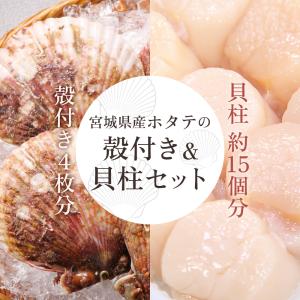宮城県産ホタテの殻付き＆貝柱セット（殻付き4枚、貝柱500g）専用ナイフ付き 産地直送 生ホタテ