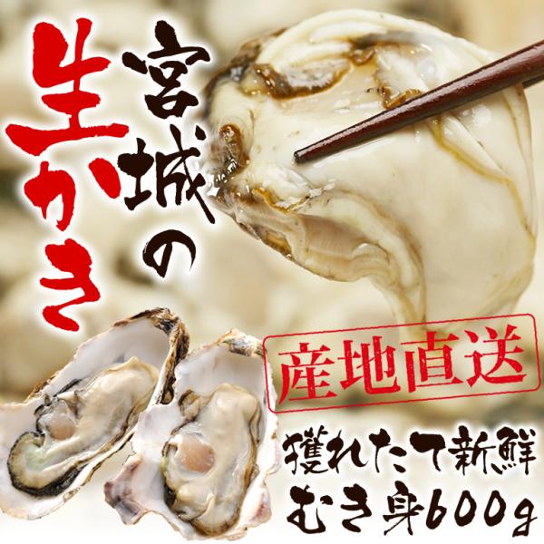 冷凍品ではありません！獲れたて新鮮な 生牡蠣（生食用/300g×2本）冷蔵 取り寄せ 生食 かき む...