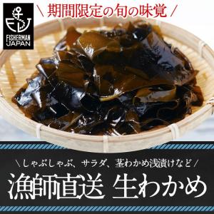 感動の生わかめ産直ギフト（約500g）冷蔵 FISHERMAN JAPAN