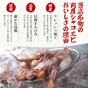 浜茹でシャコエビ(約400g/オスメス混合)冷...の詳細画像2