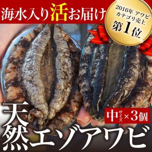 宮城県石巻産 金華山の天然活エゾアワビ（3個）冷蔵