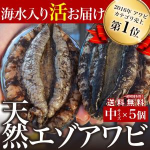 【条件付き送料無料】宮城県石巻産 金華山の天然活エゾアワビ（5個）冷蔵